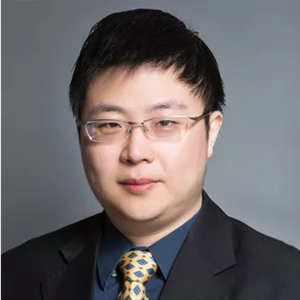 杨迅 (通力律师事务所 技术法律专家)
